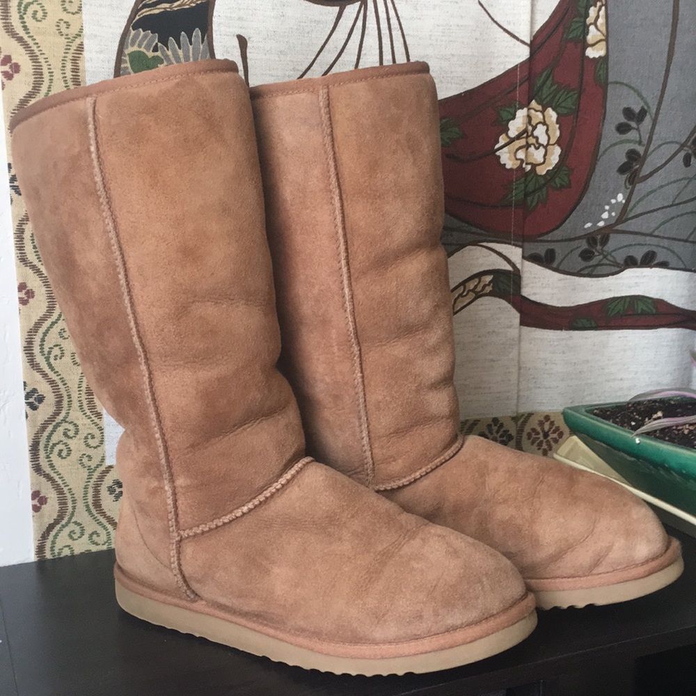 Classic Tall UGGs 9W in Dark Tan